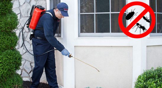 Esenler Dezenfeksiyon böcek ilaçlama ve haşere kontrolü — ilaclama-tr.com